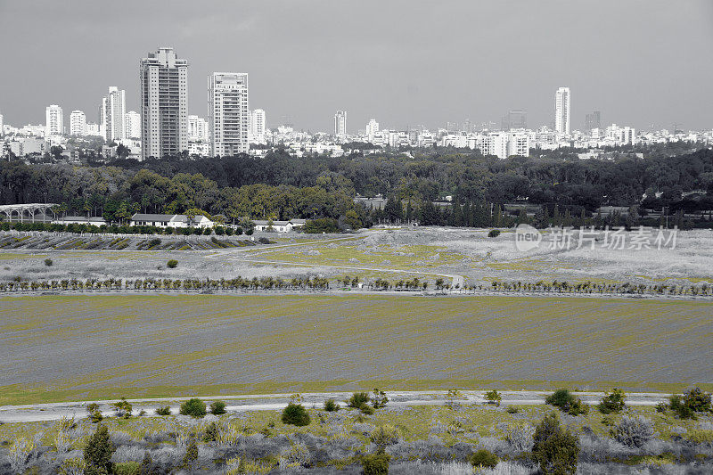 从Ariel Sharon Park发回的报道